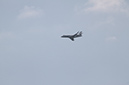 %_tempFileName120IMG_5534%