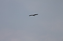 %_tempFileName124IMG_5538%