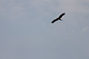 %_tempFileName125IMG_5539%